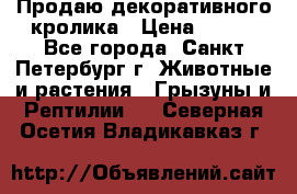 Продаю декоративного кролика › Цена ­ 500 - Все города, Санкт-Петербург г. Животные и растения » Грызуны и Рептилии   . Северная Осетия,Владикавказ г.